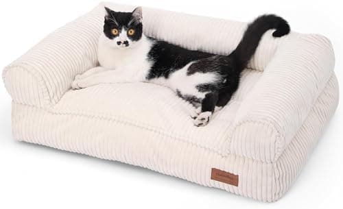Migliori cuscini ortopedici memory foam per gatti anziani con artrosi