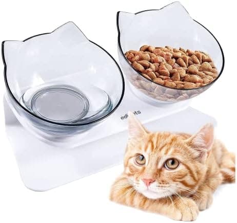 Migliori ciotole per cani rialzate in ceramica con base antiscivolo per cani di piccola taglia