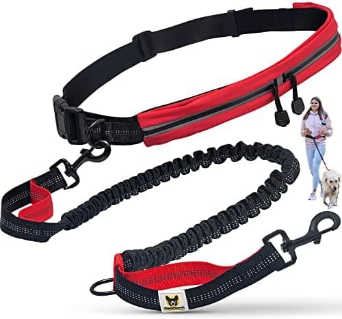 Migliori guinzagli con ammortizzatore per cani da trail running su terreni tecnici