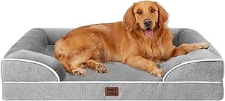 Migliori lettini rialzati per cani anziani con memory foam impermeabili