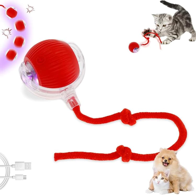 Migliori giochi interattivi per gatti con luci led per gatti pigri