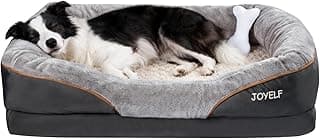 Migliori cuscini post-operatori in memory foam per cani con artrosi